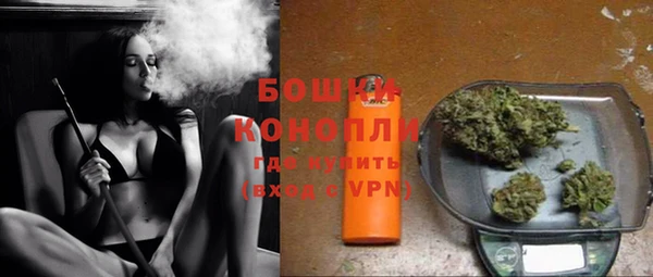 индика Володарск