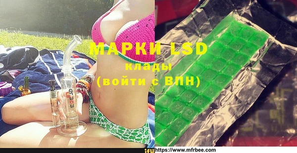 индика Володарск