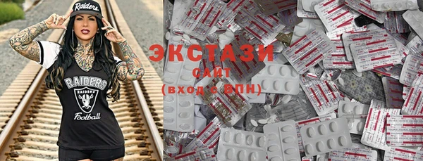 индика Володарск