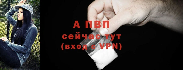 индика Володарск