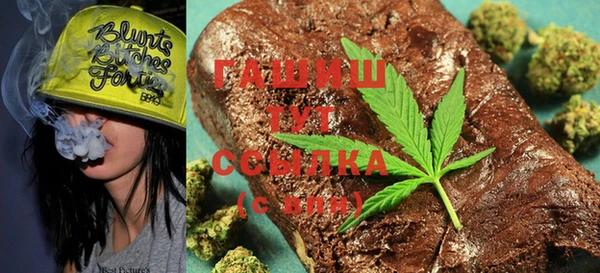 индика Володарск