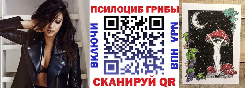 где продают   Заполярный  Псилоцибиновые грибы Psilocybine cubensis 